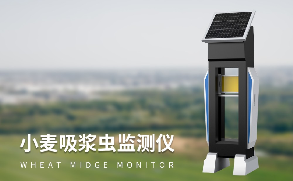 使用小麦吸浆虫监测仪